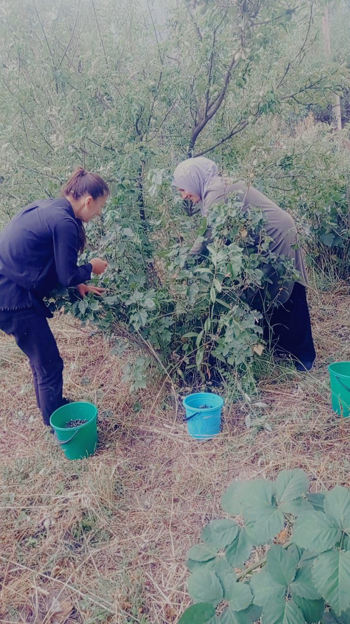 Социальная неотложка.